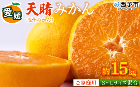 ＜愛媛県明浜産 天晴みかん（温州みかん）約15kg S～L混合＞ 家庭用 訳あり ワケアリ 果物 くだもの フルーツ ミカン 柑橘 特産品 笑丸 愛媛県 西予市【常温】『2026年11月中旬～2027年1月上旬迄に順次出荷予定』AAN0027
