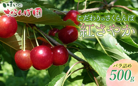 【令和8年産先行予約】こだわりのさくらんぼ「紅さやか」(Lサイズ以上)　バラ詰め 500g　いまいのさくらんぼ園　K-831