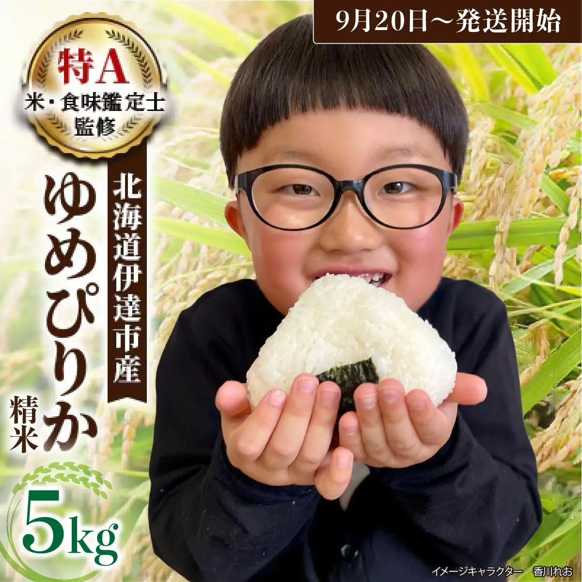 令和7年産 ゆめぴりか精米 5kg 生産者直送 北海道伊達産 | 北海道のブランド米 もっちり食感 冷めても美味しい