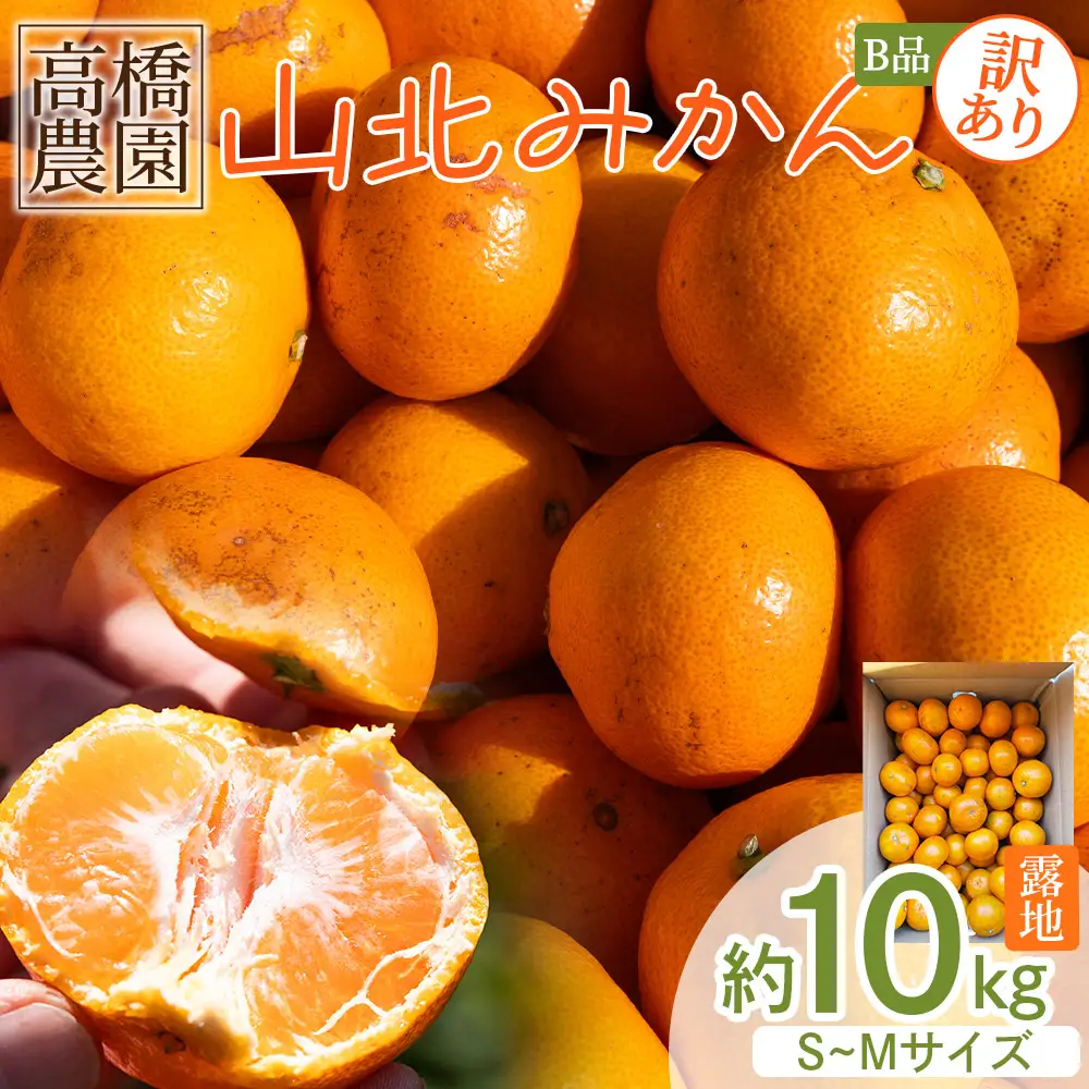 【2026年11月中旬より順次配送】山北みかん 10kg 訳あり みかん th-0027