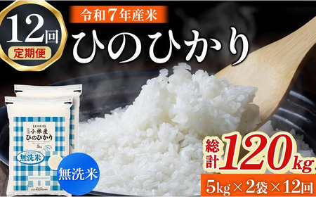 【定期便 全12回】【令和7年産米】無洗米ヒノヒカリ 10kg×12回（お米 米 ひのひかり 無洗米 令和7年産 国産 人気 お弁当 定期便 宮崎県 小林市）