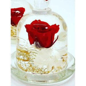 クリスタルドーム 「真実の愛・赤い薔薇」 ／ fleur misaki お祝い インテリア 雑貨 ハーバリウム プレゼント ギフト 奈良県 田原本町