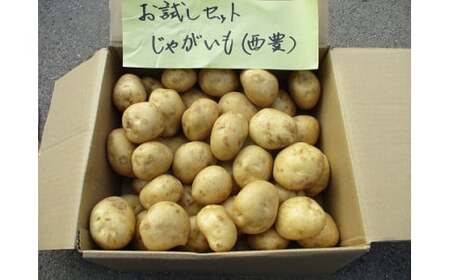 0C1-103A 有機JASじゃがいも(10kg/訳あり/S~Lサイズ)先行予約