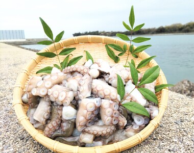 修福丸ん岬たこ生たこぶつ切り食べきりサイズ(200g×5袋) | 豊後高田市 たこ