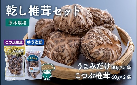 乾し椎茸セット【大分県新ブランドうまみだけ80g×3袋、こつぶ椎茸60g×2袋】 | 豊後高田市 しいたけ