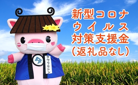 奈良県田原本町 新型コロナウイルス感染症対策寄附金《10,000円》（返礼品はございません）