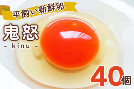 白身も美味い！平飼い新鮮卵「鬼怒」40個 [0280]