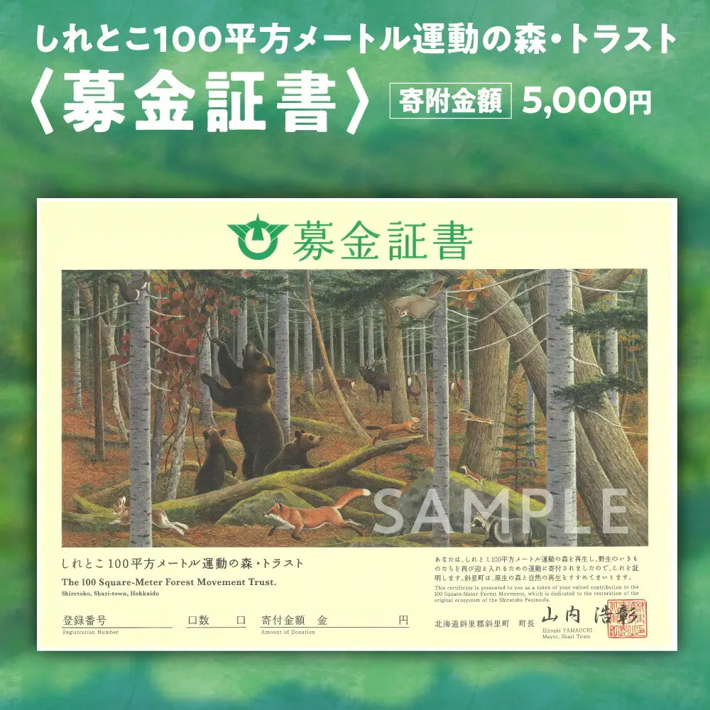 募金証書(5,000円)しれとこ100平方メートル運動の森トラスト_ 地域サービス 