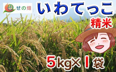 【令和7年産】 いわてっこ 精米 5kg×1袋 ／ せの畑 こめ 米 コメ お米 おこめ ご飯 ごはん 白米 白飯 おにぎり お弁当 仕送り お取り寄せ 産地直送 農家直送 単一原料米 国産 国産米 東北 岩手県産 八幡平市産 おすすめ