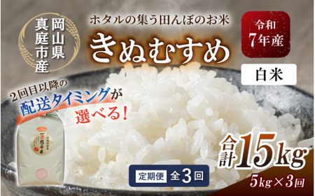 ＜定期便全３回＞ 米 岡山県産精米 令和7年産きぬむすめ白米５kg×３回 【tkns-tkb013-cho】