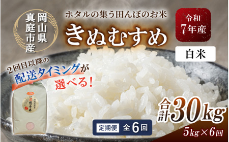 ＜定期便全６回＞ 米 岡山県産精米 令和7年産きぬむすめ白米５kg×６回定期便 【tkns-tkb014-cho】