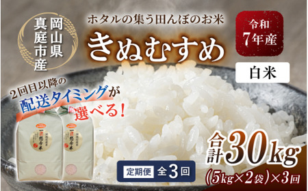 ＜定期便全３回＞ 米 岡山県産精米 令和7年産きぬむすめ白米10kg(5kg×2袋)×３回定期便 【tkns-tkb016-cho】