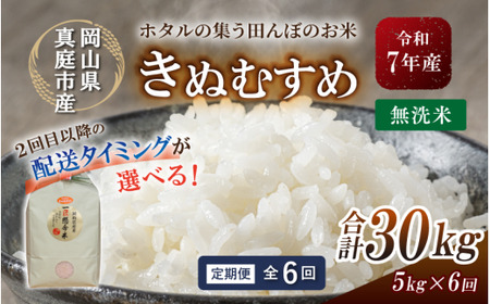 ＜定期便全６回＞ 令和7年産 きぬむすめ 無洗米 ５kg 岡山県 【tkns-tkb020-cho】