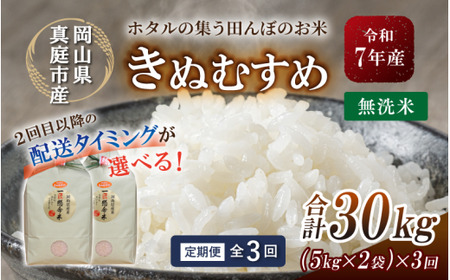 ＜定期便全３回＞ 米 岡山県産精米 令和7年産きぬむすめ無洗米10kg(5kg×2袋)定期便 【tkns-tkb022-cho】