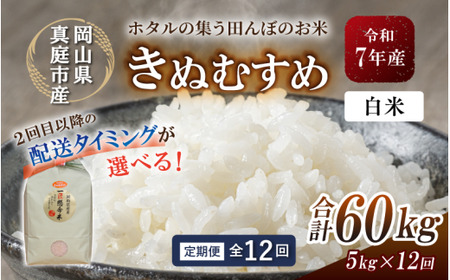 ＜定期便全12回＞ 米 岡山県産精米 令和7年産きぬむすめ白米５kg×１２回定期便 【tkns-tkb015-cho】
