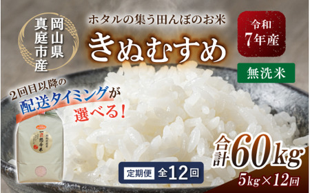 ＜定期便全12回＞ 米 岡山県産精米 令和7年産きぬむすめ無洗米５kg定期便 【tkns-tkb021-cho】