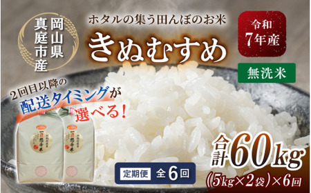 ＜定期便全６回＞ 米 岡山県産精米 令和7年産きぬむすめ無洗米１０kg(5kg×2袋)定期便 【tkns-tkb023-cho】