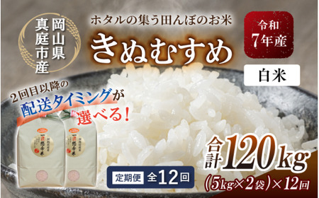 ＜定期便全12回＞ 米 岡山県産精米 令和7年産きぬむすめ白米１０kg(5kg×2袋)×１２回定期便 【tkns-tkb018-cho】