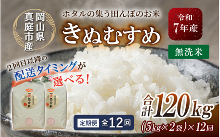 ＜定期便全12回＞ 米 岡山県産精米 令和7年産きぬむすめ無洗米１０kg(5kg×2袋)定期便 【tkns-tkb024-cho】