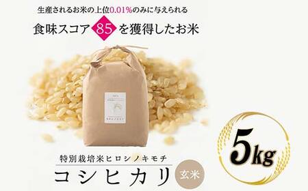 特別栽培米 コシヒカリ ヒロシノキモチ 玄米 5kg ブランド米 銘柄米 国産 米 お米 日本米 ギフト 贈り物 備蓄 防災 食品 陽咲玲 はるざれ F6T-921
