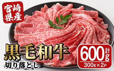 宮崎県産黒毛和牛切り落とし(600g・300g×2P)【SJ009】【日本ハムマーケティング株式会社】