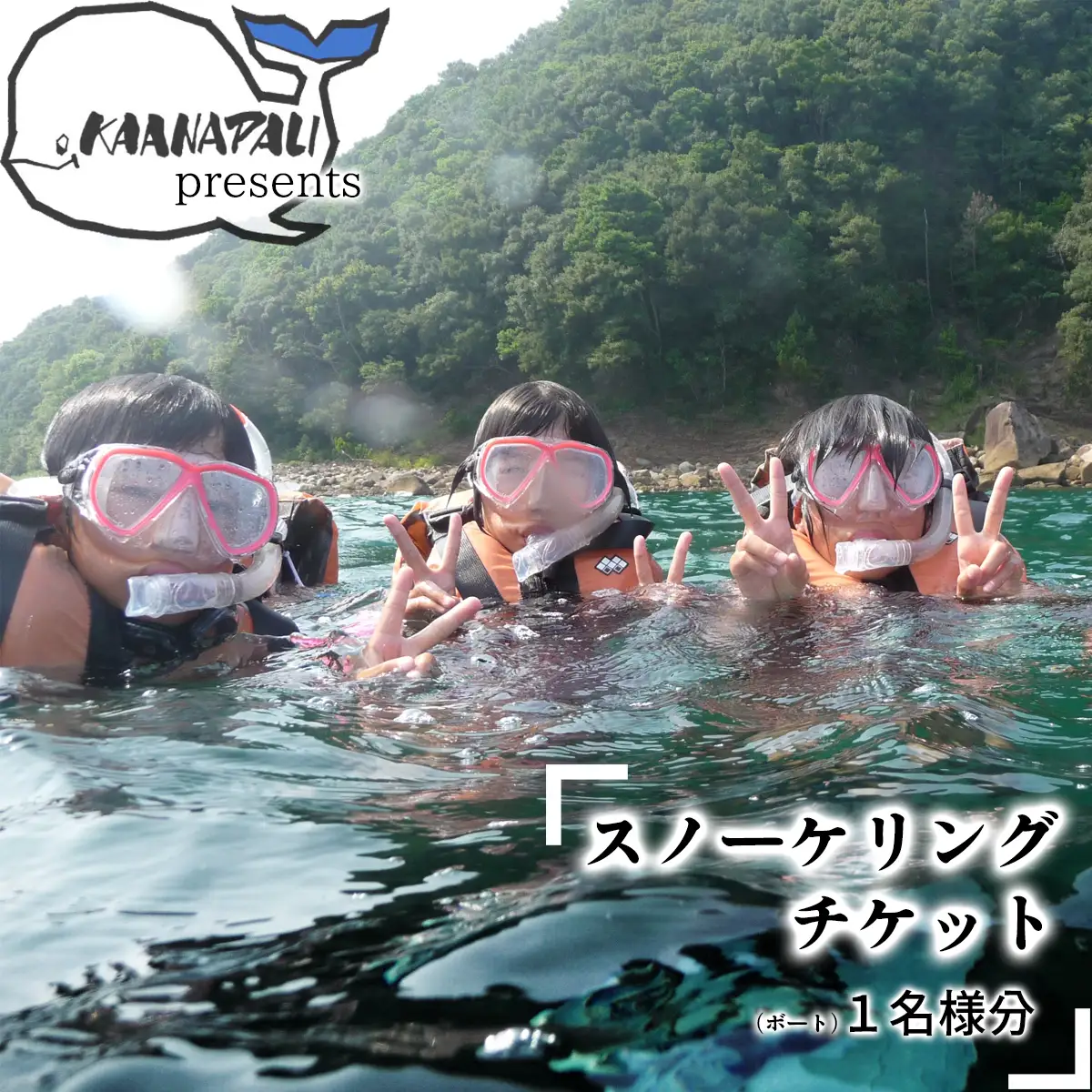 徳島最南端の海でスノーケリング（ボート）！