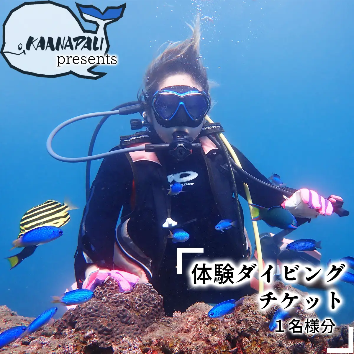 徳島最南端の海で体験ダイビング！