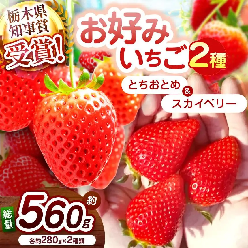 【2027年先行予約】大粒スカイベリー×元祖とちおとめ 食べ比べセット 560g
