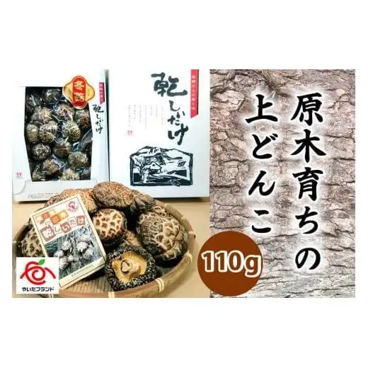 肉厚・厳選！原木育ちの上どんこ110g｜栃木県 矢板市 しいたけ 椎茸 産地直送  