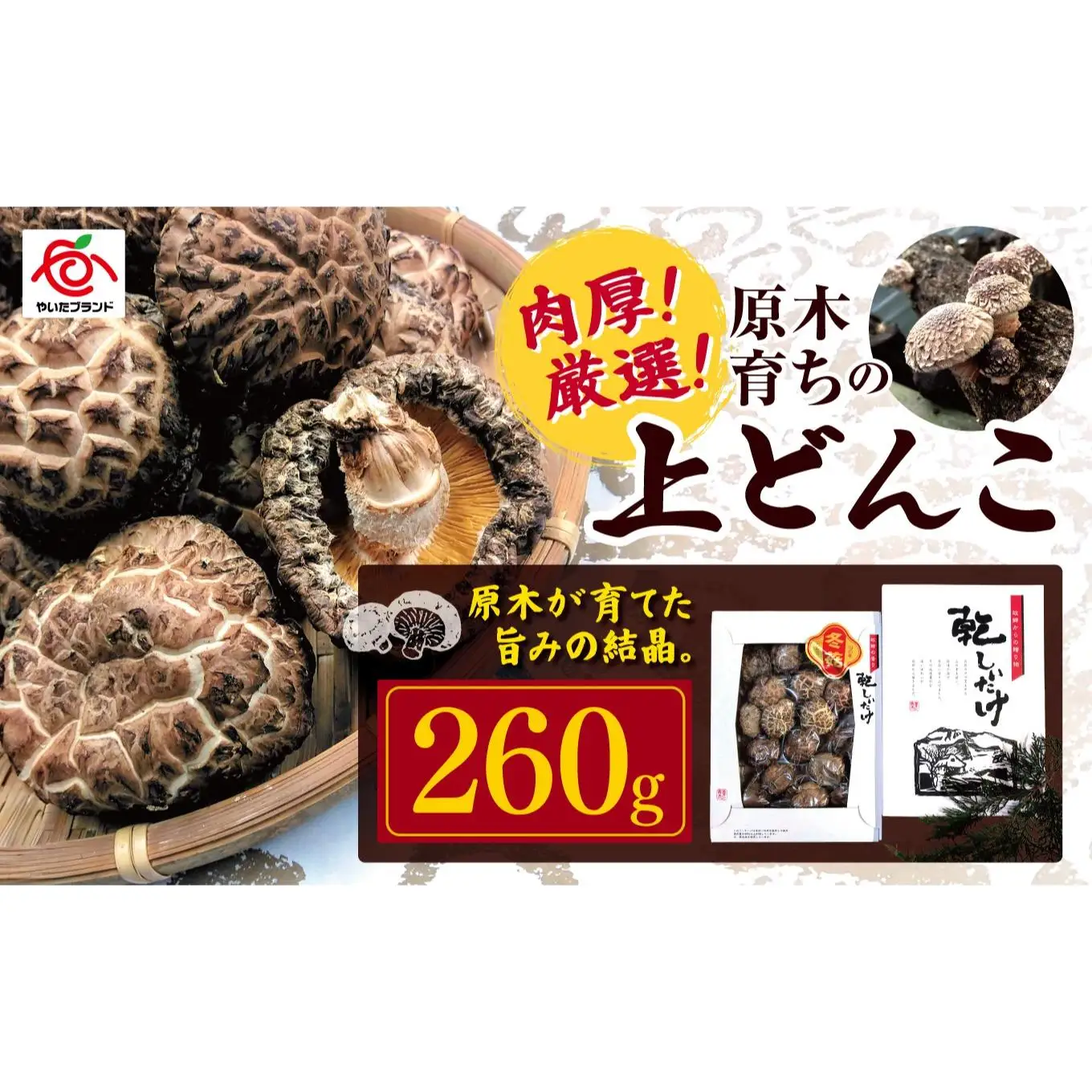 肉厚・厳選！原木育ちの上どんこ260g｜栃木県 矢板市 しいたけ 椎茸 産地直送  