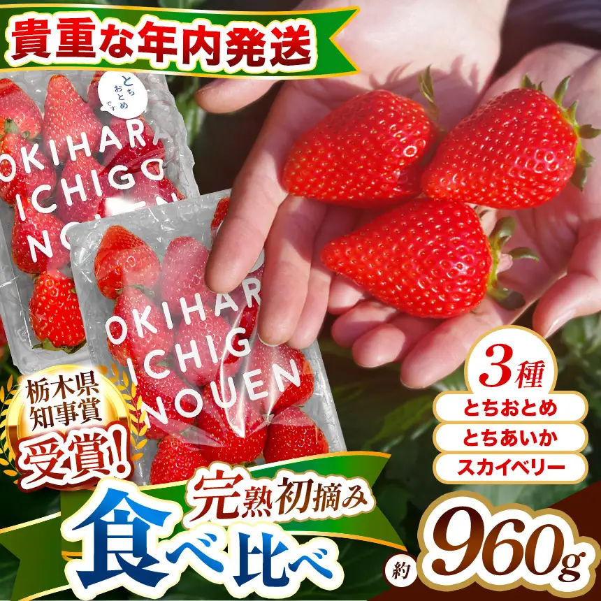 【先行予約】[数量限定] 貴重な12月発送！贅沢な栃木のいちご3種食べ比べセット 960g | とちあいか とちおとめ スカイベリー