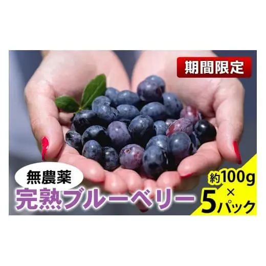 無農薬 完熟 ブルーベリー 約100g×5パック 2026年 6～8月発送