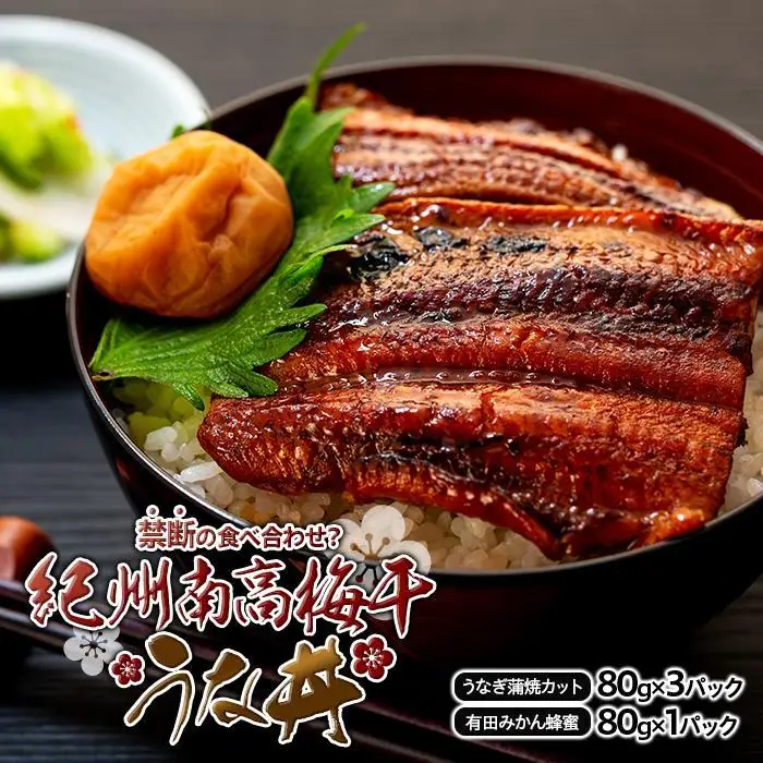 紀州南高梅 うな丼 うなぎ蒲焼 240g  × 紀州南高梅干  80g 有田みかん蜂蜜 塩分7％  約3人前 うなぎ 鰻