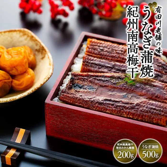 うなぎ蒲焼 4尾 合計 500g  紀州南高梅干 200g 有田みかん蜂蜜 塩分7％ セット うなぎ