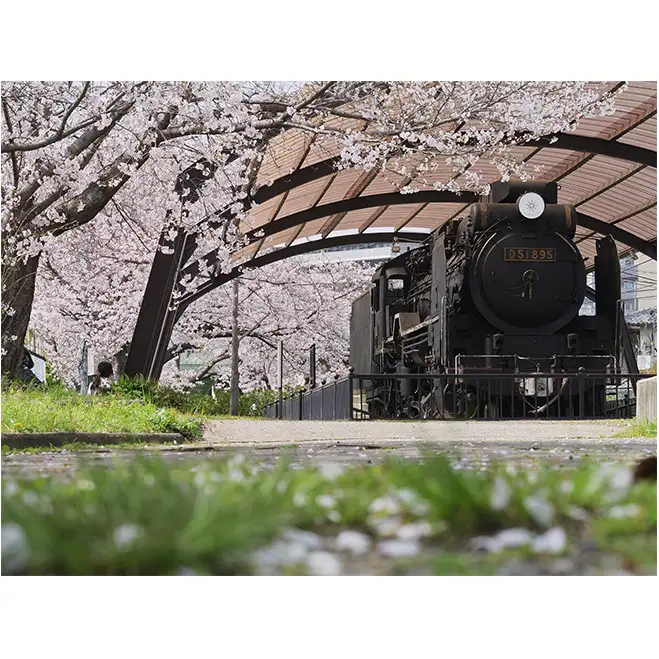 アートパネル　汽車と桜 織物 フォトグラファー 下村綱起 撮影 風景 動物 写真 厳選 作品 フェルト 生地 オリジナル インテリア プレゼント 癒し 