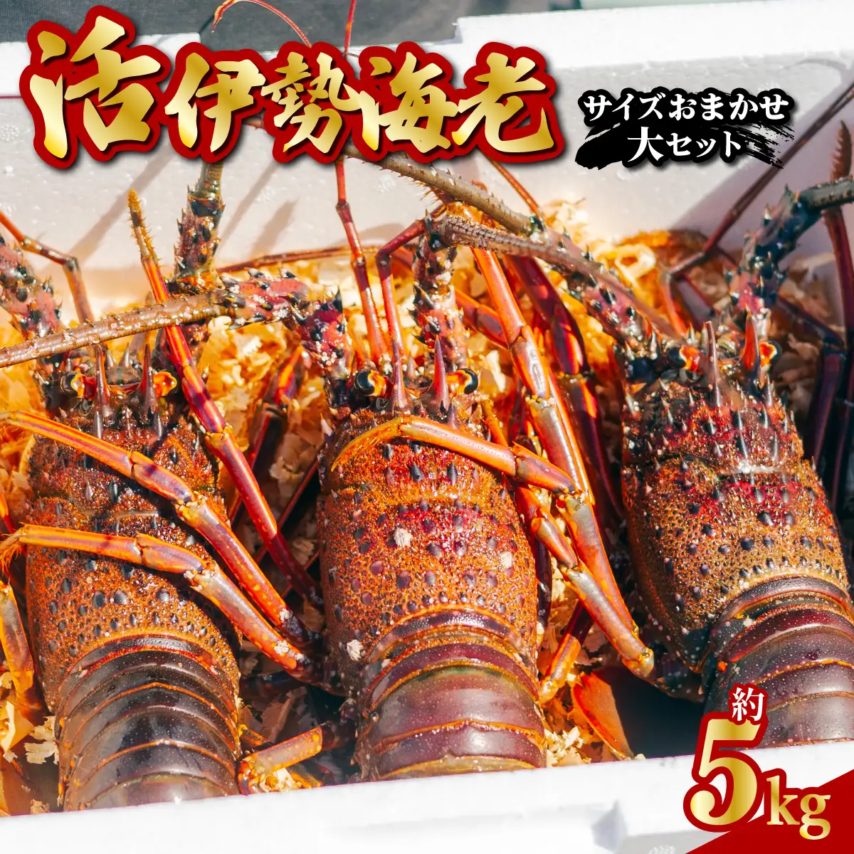 季節限定　箱詰め伊勢海老サイズおまかせ大セット（約５．０㎏） 【4月以降発送】