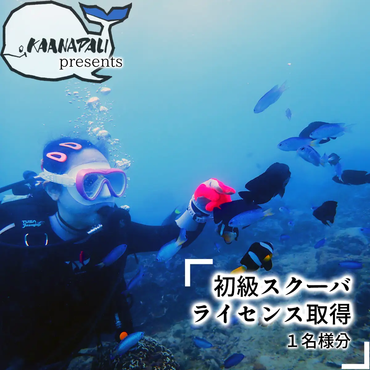 海陽町の海で初級スクーバダイビングライセンス取得！