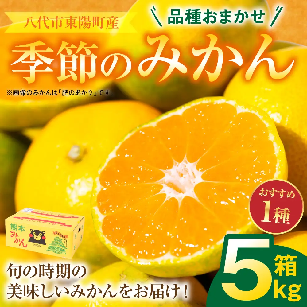 【先行予約】みかん 数量限定 八代市東陽町産の季節のみかん5kg みかん 【2026年9月下旬より順次発送】 