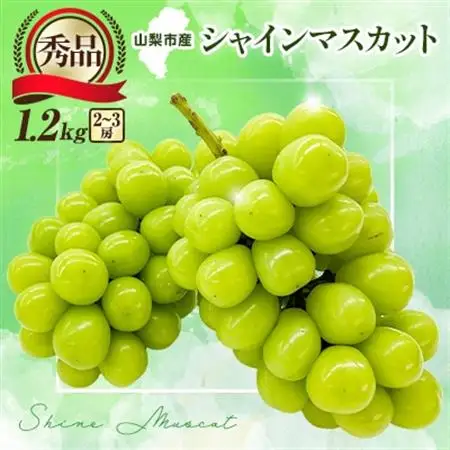 【2026年発送】大人気!シャインマスカット秀 1.2kg(2～3房)【配送不可地域：離島】【1442579】