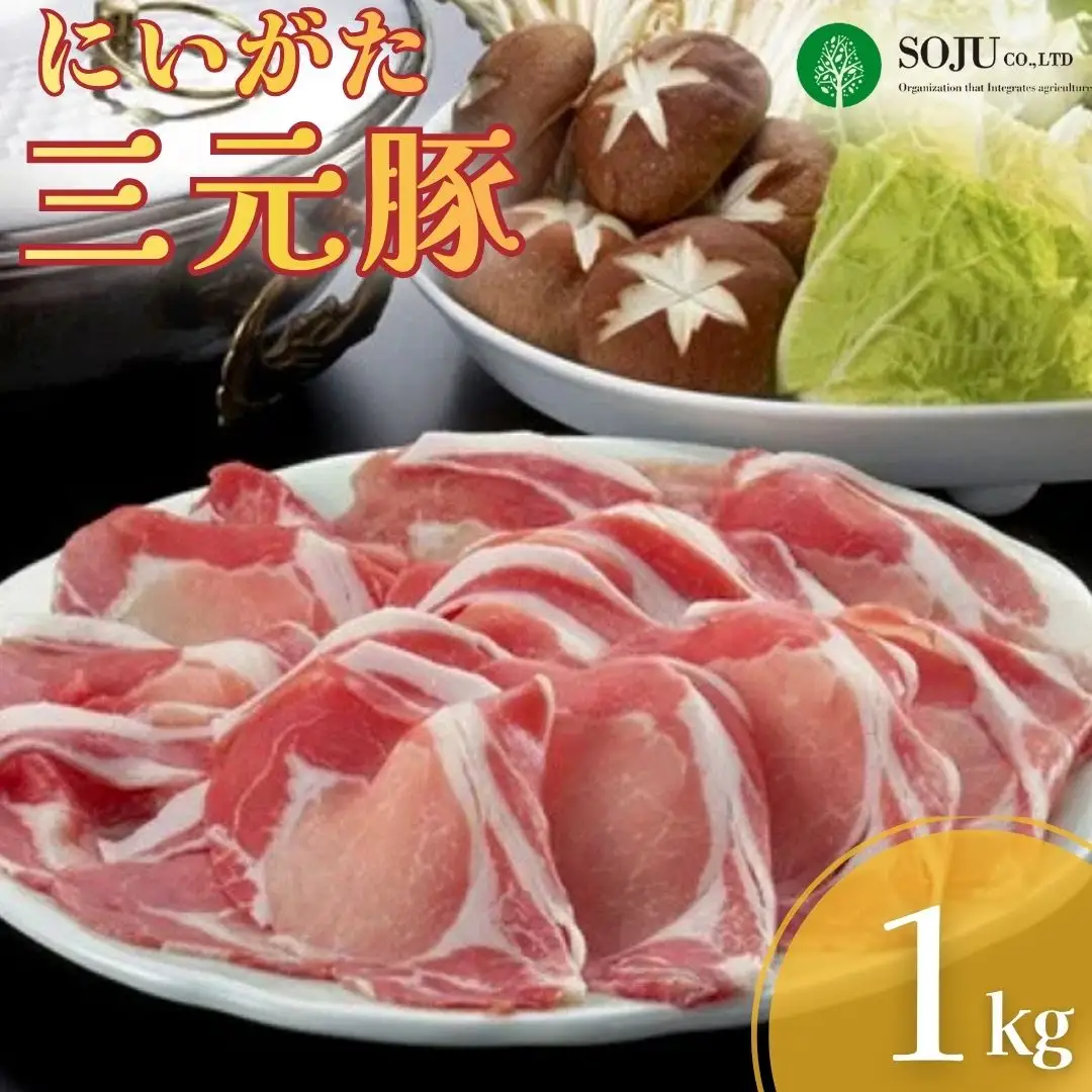 三条果樹専門家集団 にいがた三元豚 豚肉 しゃぶしゃぶ用 ロース とんかつ用 ロース