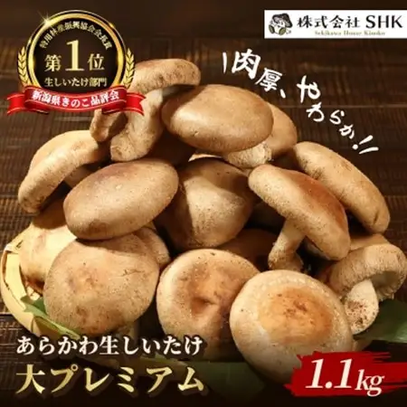 肉厚、やわらか!あらかわ生しいたけ大プレミアム [贈呈用]【配送不可地域：離島】【1442522】