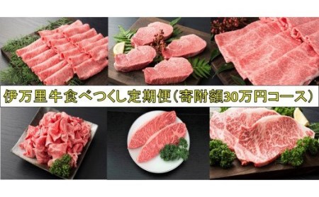 伊万里牛食べつくし 定期便 6回便 モモスライス入り ヒレステーキ 30万円コース 999-J253