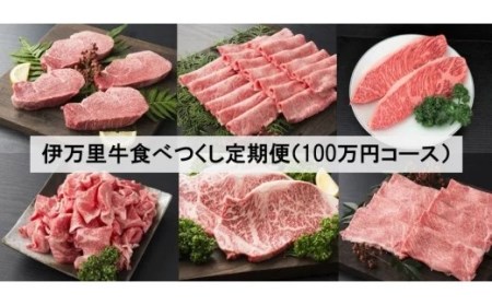 伊万里牛 食べつくし 定期便  6回便 モモスライス入り ヒレステーキ 100万円コース 999-J254