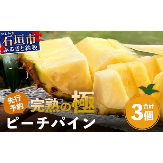 【先行予約】石垣島産パイナップル ピーチパイン3個セットTF-1-1_R8