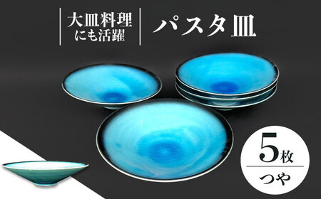 【美濃焼】 パスタ皿 5点 セット (つや有) 【東山窯】食器 深皿 [TDU017]