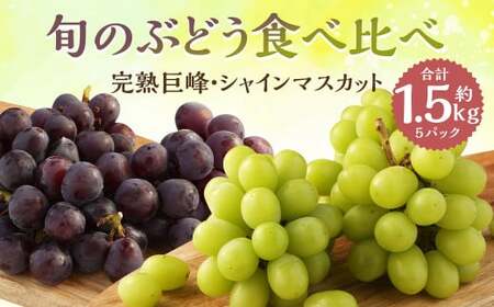 ご家庭用 旬のぶどう食べ比べ 完熟巨峰 シャインマスカット 詰め合わせ 計5パック 約1.5kg 【2026年8月下旬～9月下旬迄発送予定】ぶどう 葡萄 ブドウ 果物 フルーツ