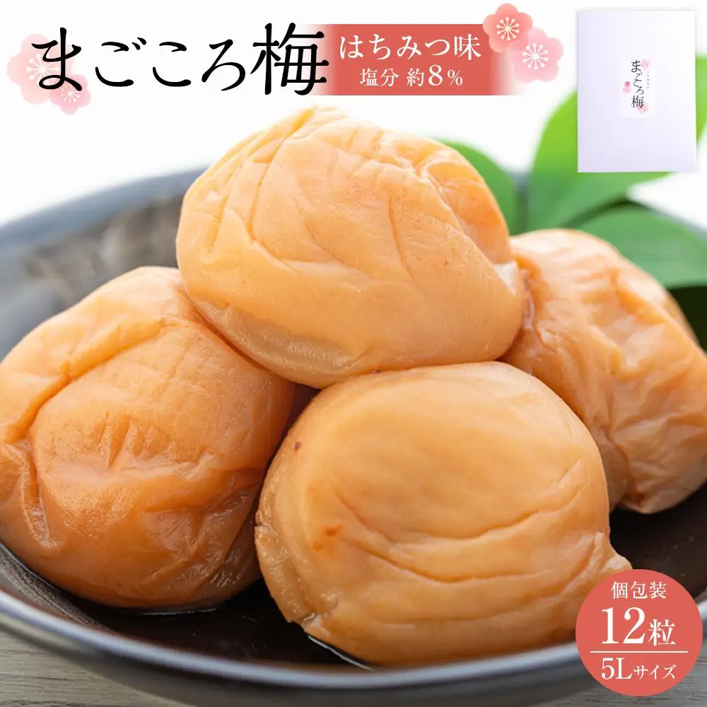 まごころ梅 はちみつ味 5Lサイズ 380g 個包装