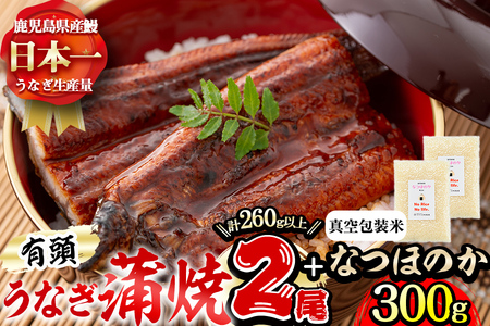 極うなぎ蒲焼き2尾(計260g以上)と真空包装米なつほのか(計300g・1合相当×2P) うなぎ 鰻 ウナギ 2尾 国産 鹿児島県産 蒲焼き 冷凍 うな重 ひつまぶし タレ 山椒  米 真空 真空包装 a6-056