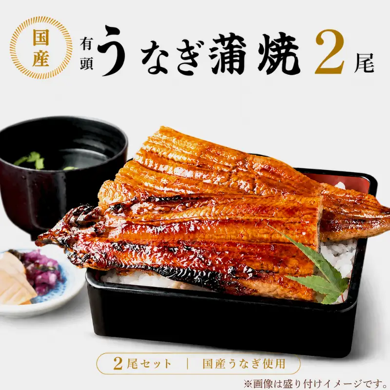 国産 うなぎ 蒲焼 2尾 特製ダレ付 冷凍 海鮮 魚介 京都 舞鶴 鰻 蒲焼 蒲焼き かば焼き 国産うなぎ 国産鰻 土用 丑の日 うしのひ うな重 うな丼 ひつまぶし 土用の丑の日 タレ付き