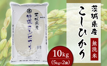 こしひかり 無洗米 10kg 茨城県産 令和7年産【小松崎商事】252